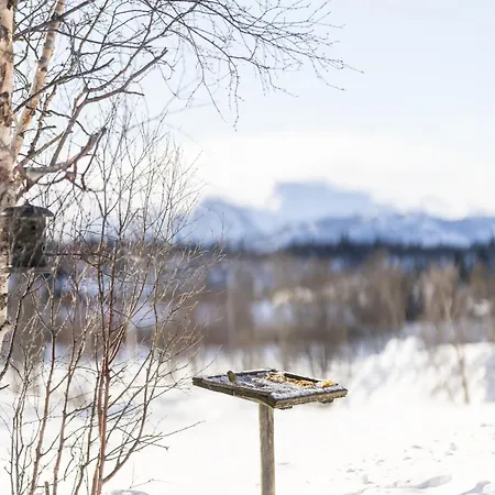 Peaceful Surrounded By Hemsedals Beautiful Nature Feriehus *